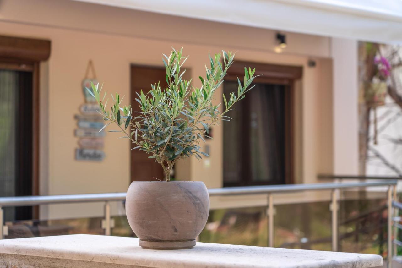 Apartamento Νεφέλη-Σπίτι Ολόκληρο Για Αξέχαστες Διακοπές Στην Σιβηρη Siviri Exterior foto